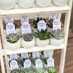 Regalos para los invitados